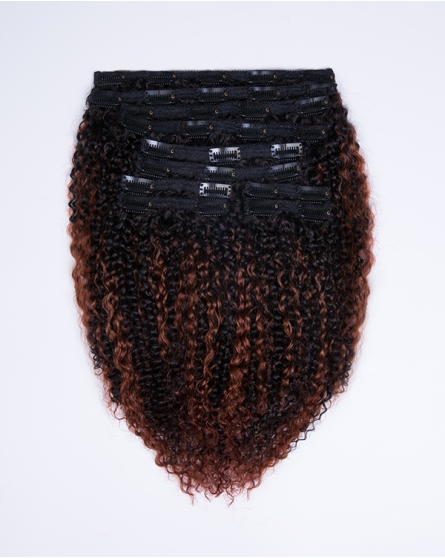 #33 Highlighted Curly Clip-in Hair Extensions