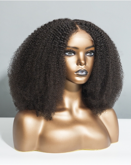 Coily 13*1 Lace Front Wig