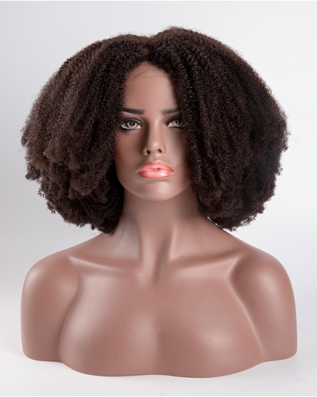 HerGivenHair Kinky Textured Lace Closure Wig